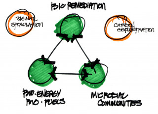 Tucson architectural sketch for Bio-remediation